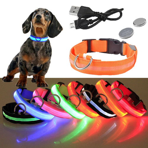 NightGlow USB rechargeable LED dog collar