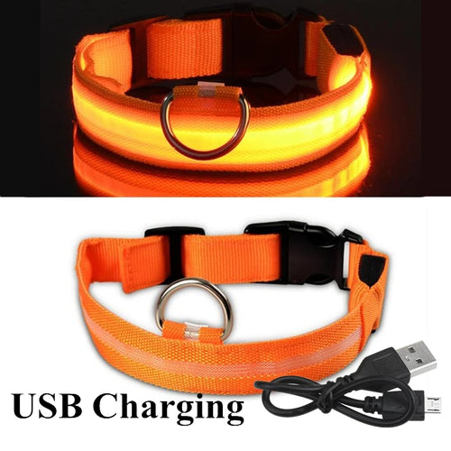 NightGlow LED collar light modes